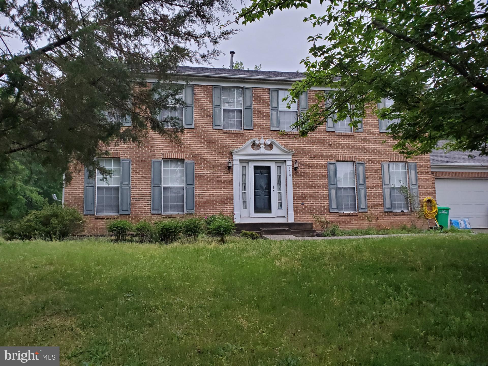 a view of a yard in front of a house with plants and large tree