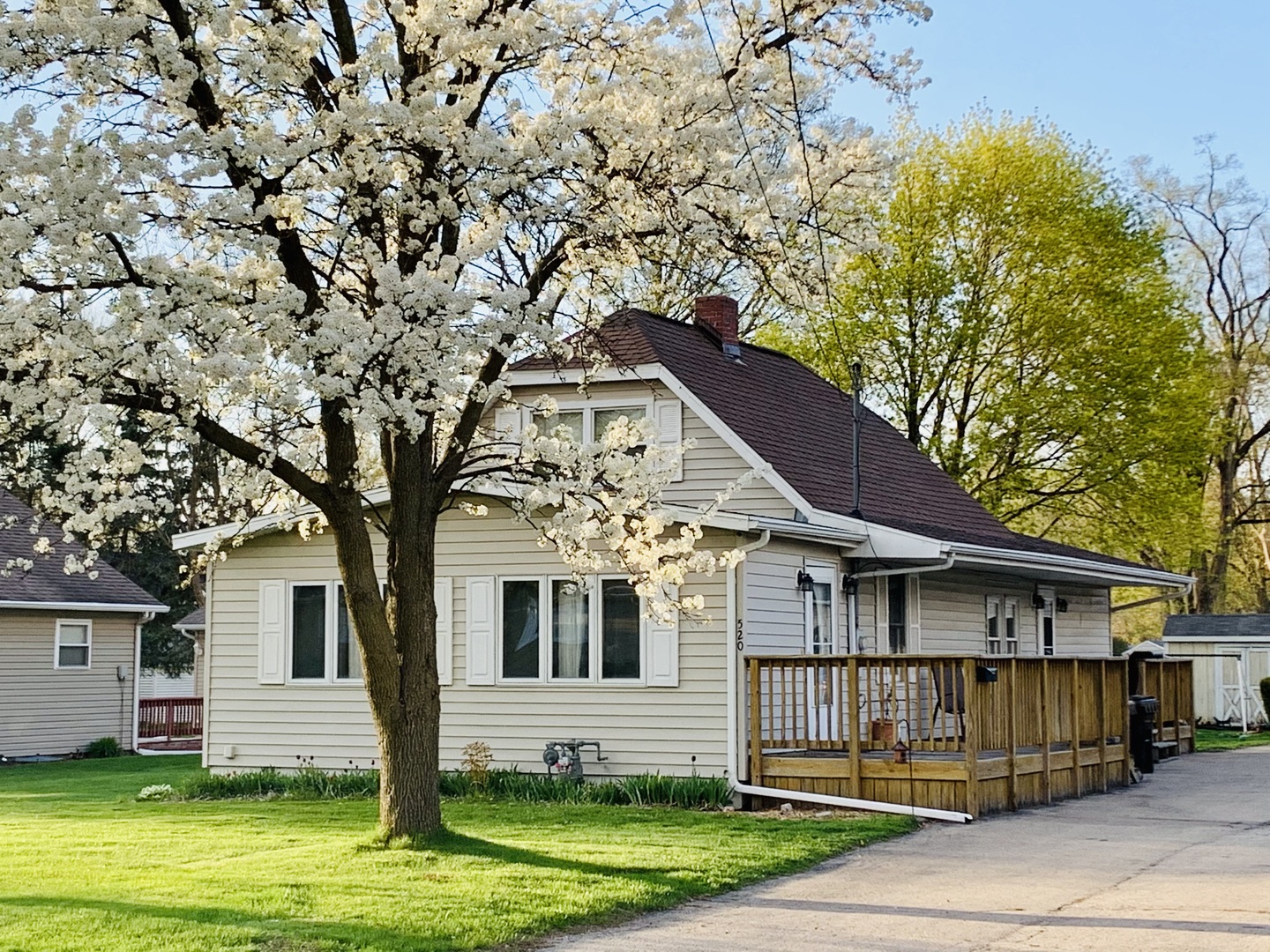 a white house that has a tree in front of the house