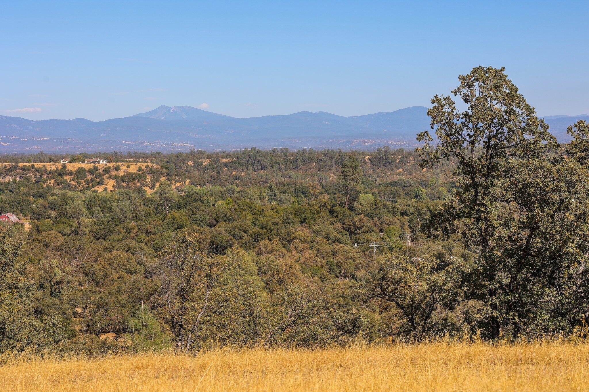 a view of a bunch of trees in a field