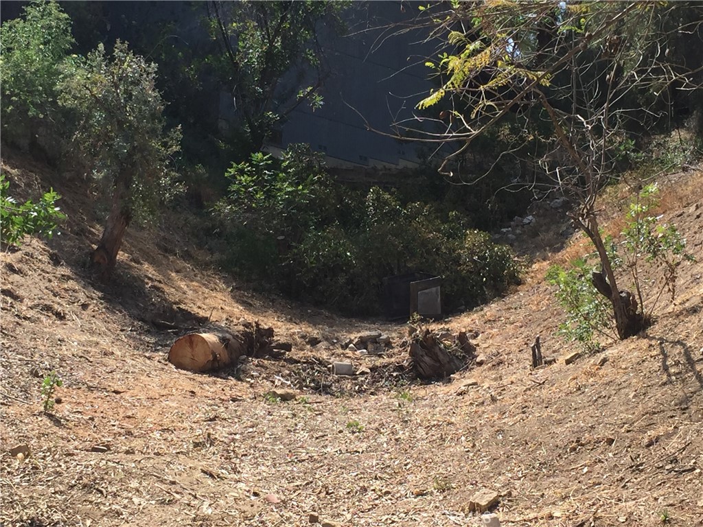 a view of a backyard of the house