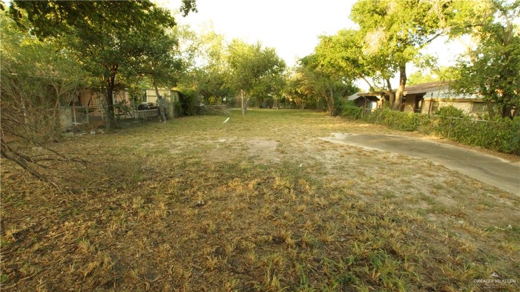 a view of yard with trees