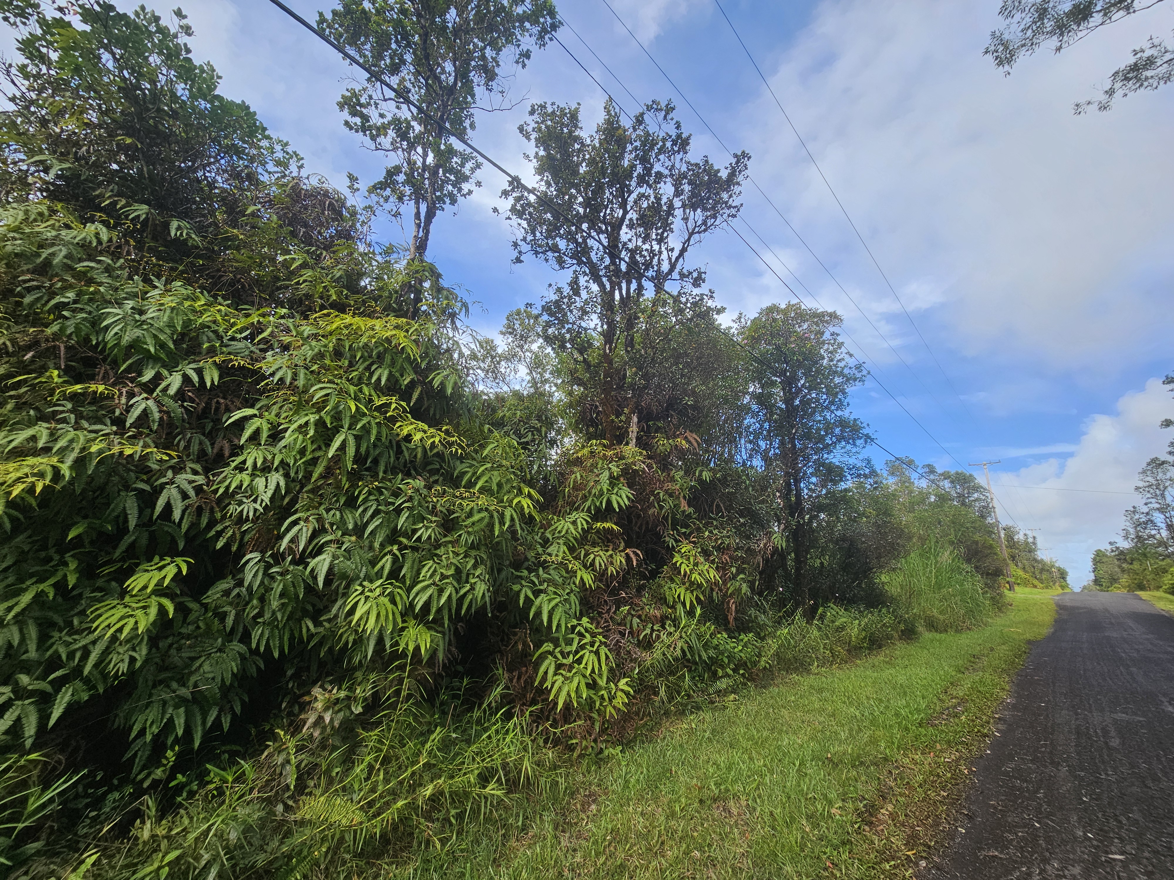 a view of a yard