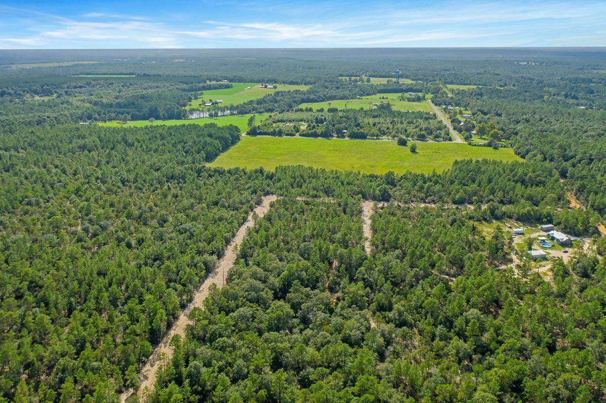 a view of a field with an ocean