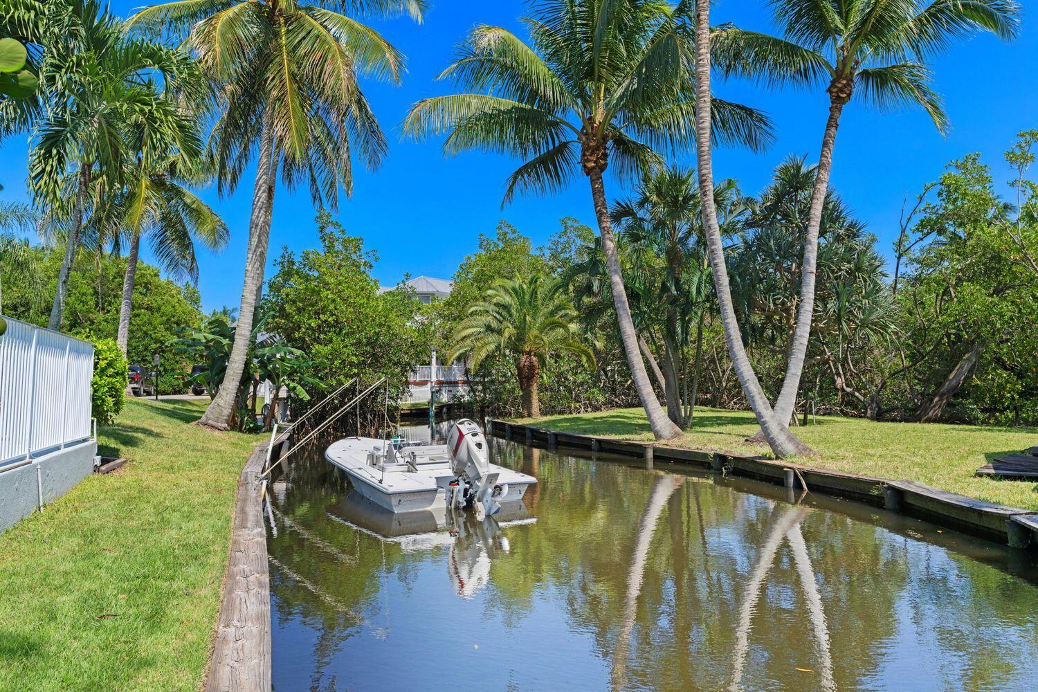 a view of a lake with a palm tree next to a yard