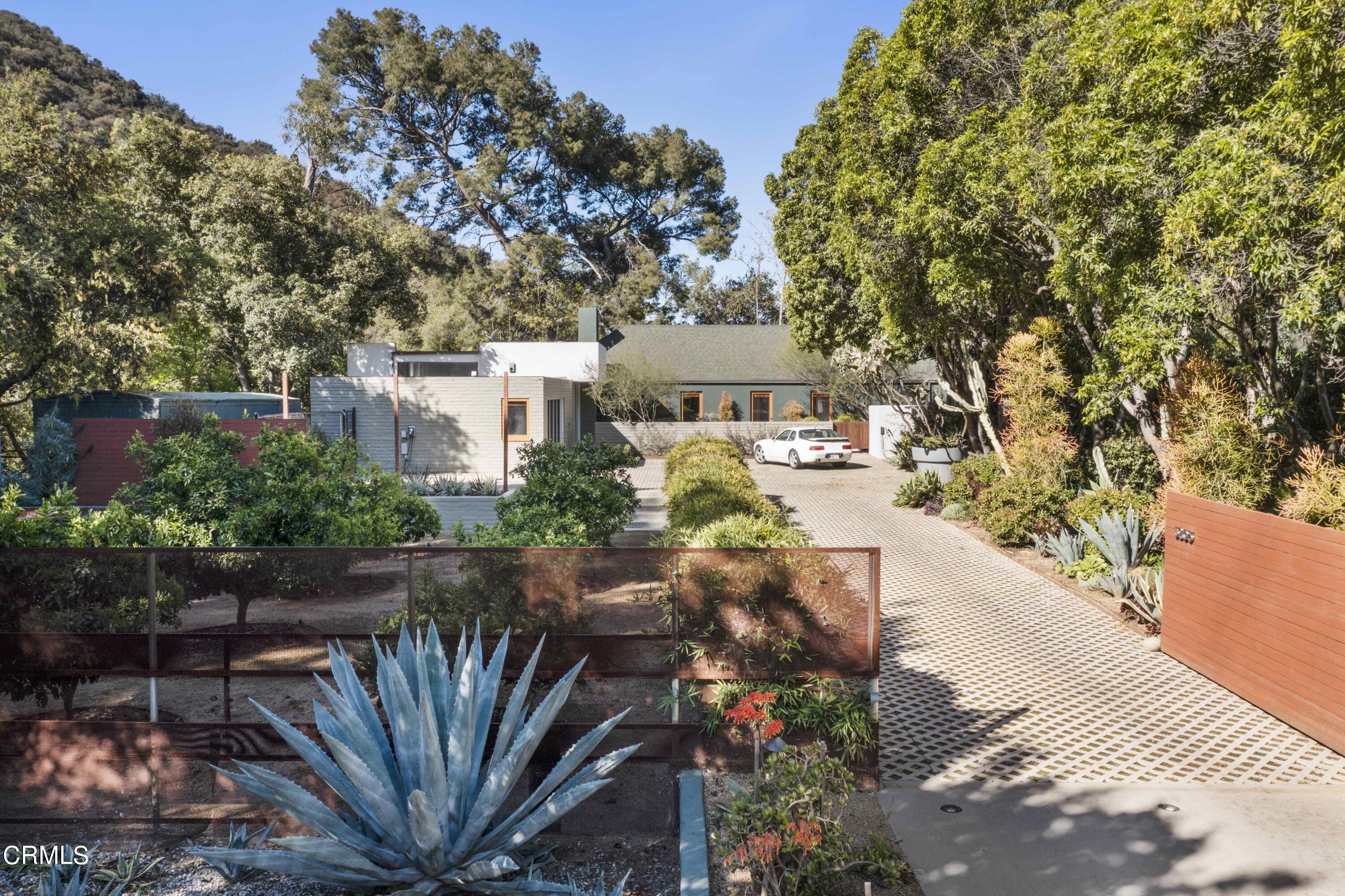 a view of a yard with plants and trees