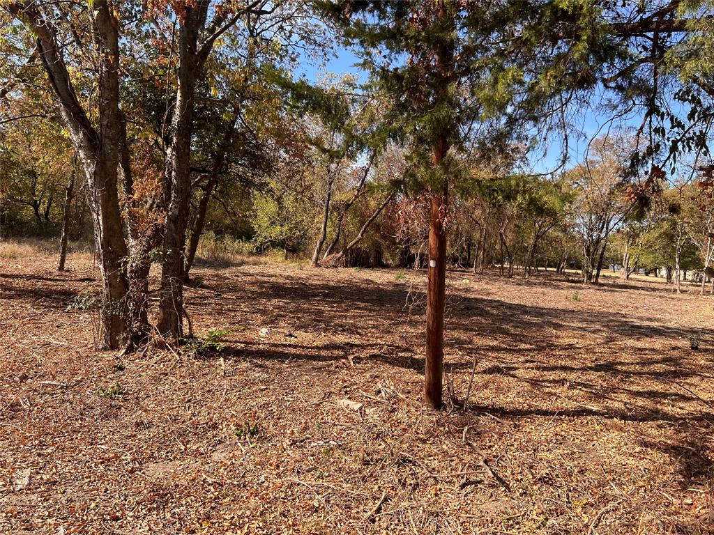 a view of a yard with trees