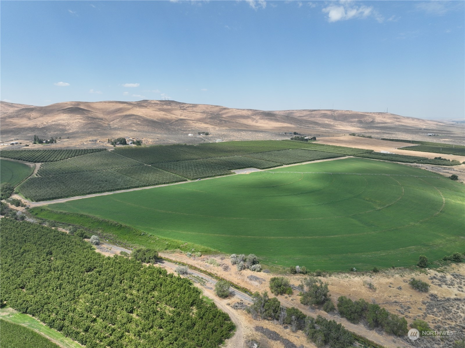 a view of a field with an ocean