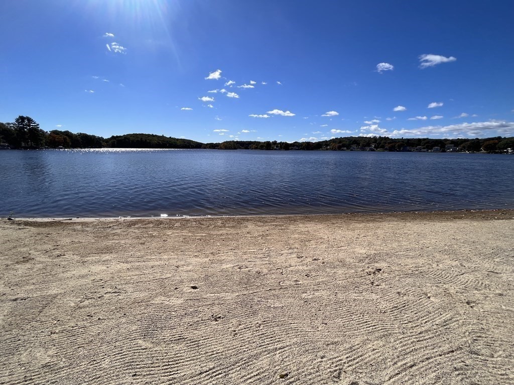 a view of an ocean from a yard