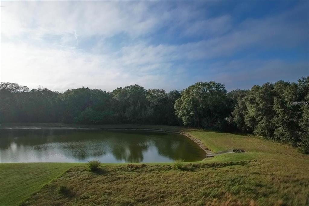 a view of a lake view