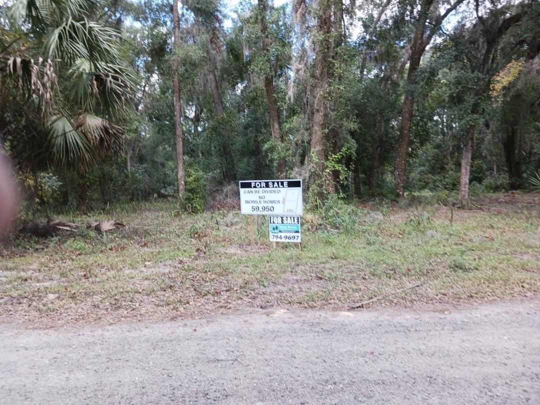 a view of a yard with a tree