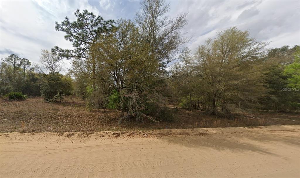 a view of a yard with a tree