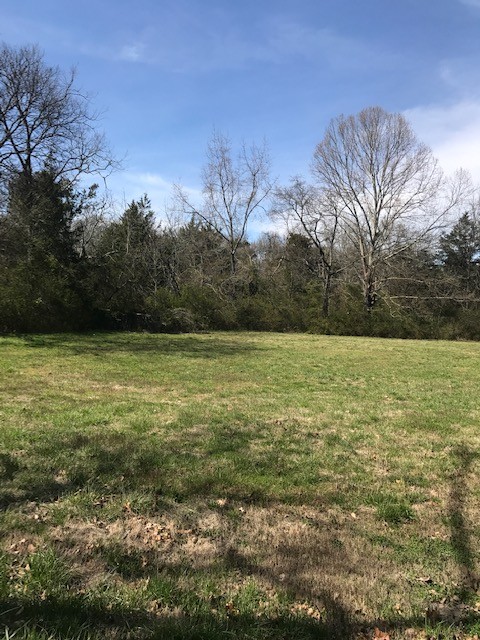 a view of a field with an trees