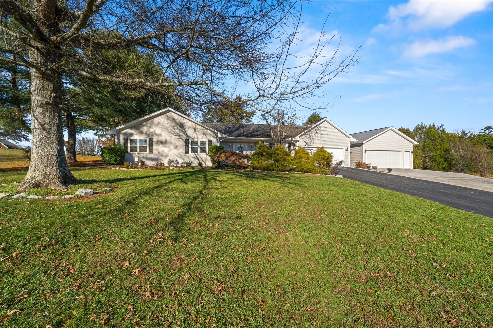 a view of yard with tree s