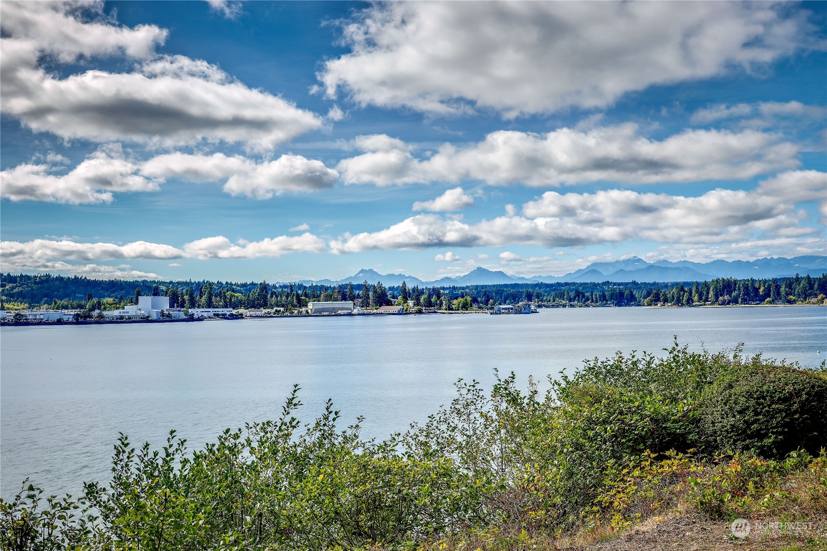 a view of a lake with a city