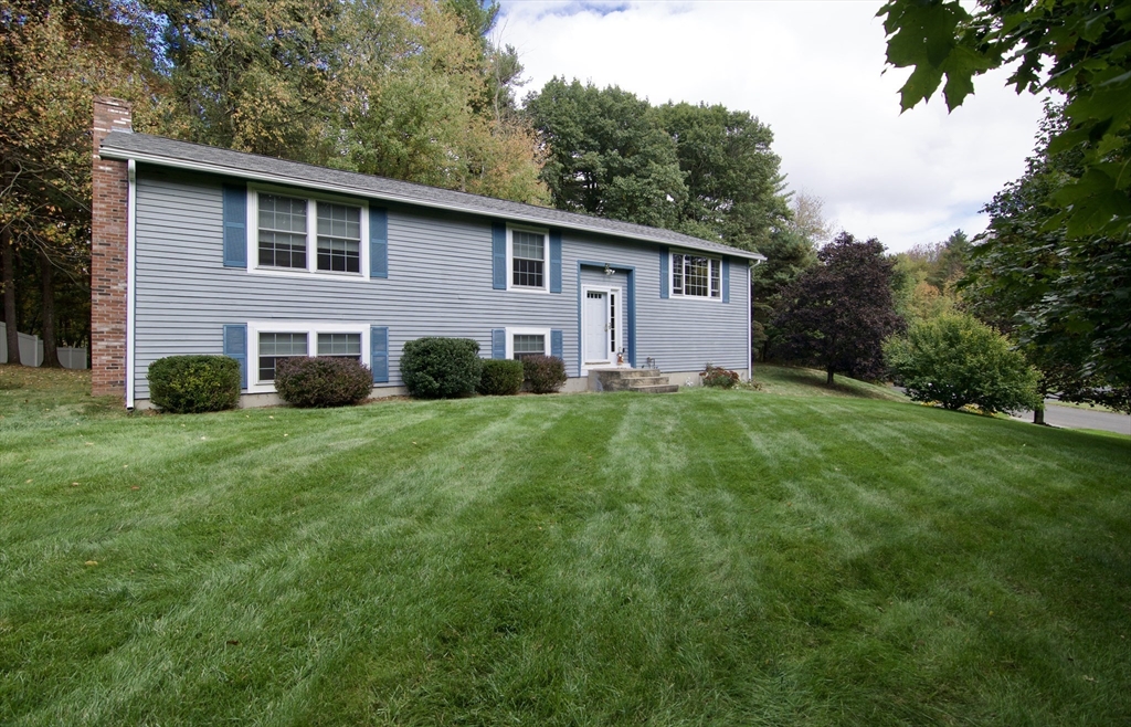 a front view of house with yard and green space