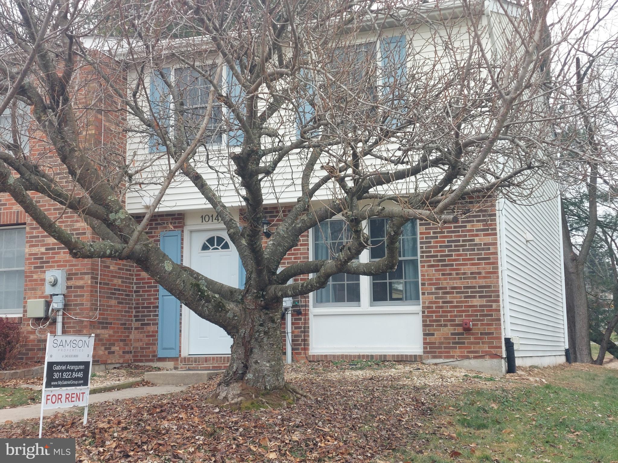 a front view of a house with a tree