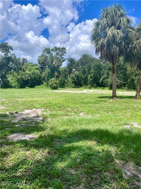 a view of a big yard with a plants and trees