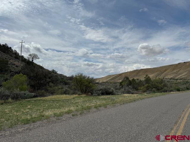 a view of a rural road with plants and large trees