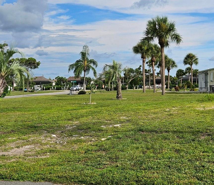 a view of a park with palm trees