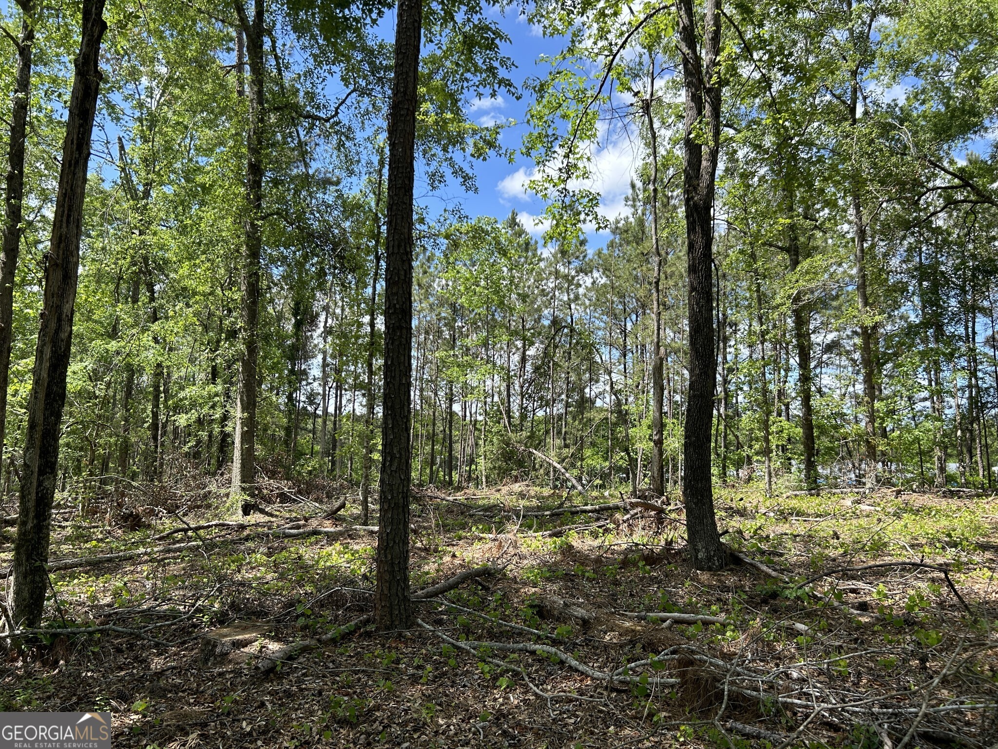 a view of outdoor space with trees