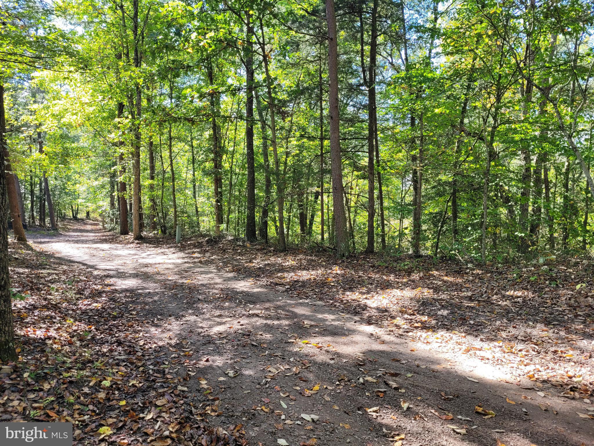 a view of outdoor space and trees