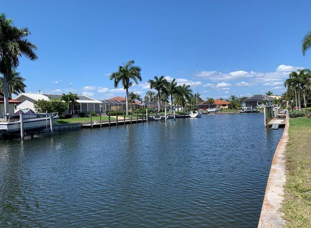 a view of a lake with boats and palm trees