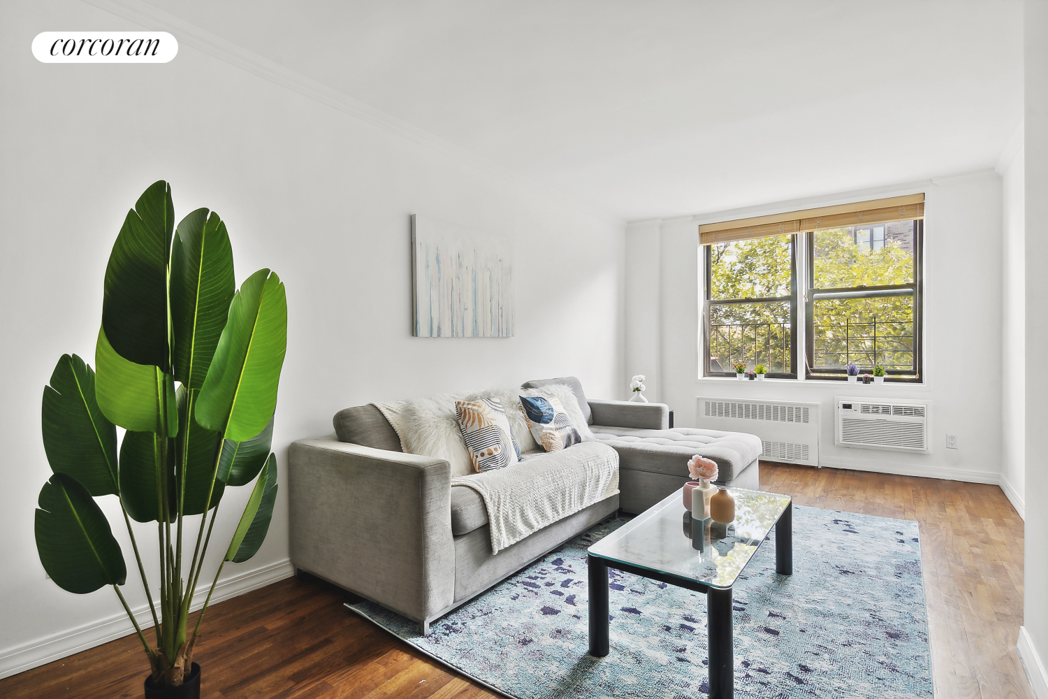 a living room with furniture and a potted plant