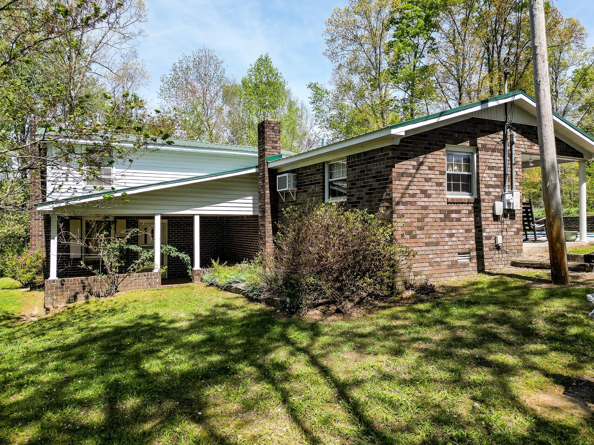 a view of a yard with plants and large tree