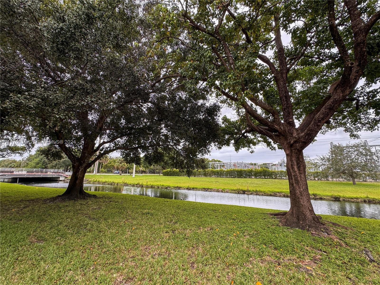 a view of a yard with a large trees