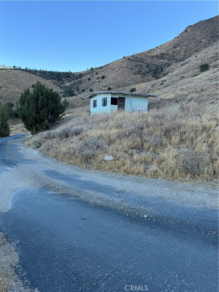 a view of a dry yard with a large tree