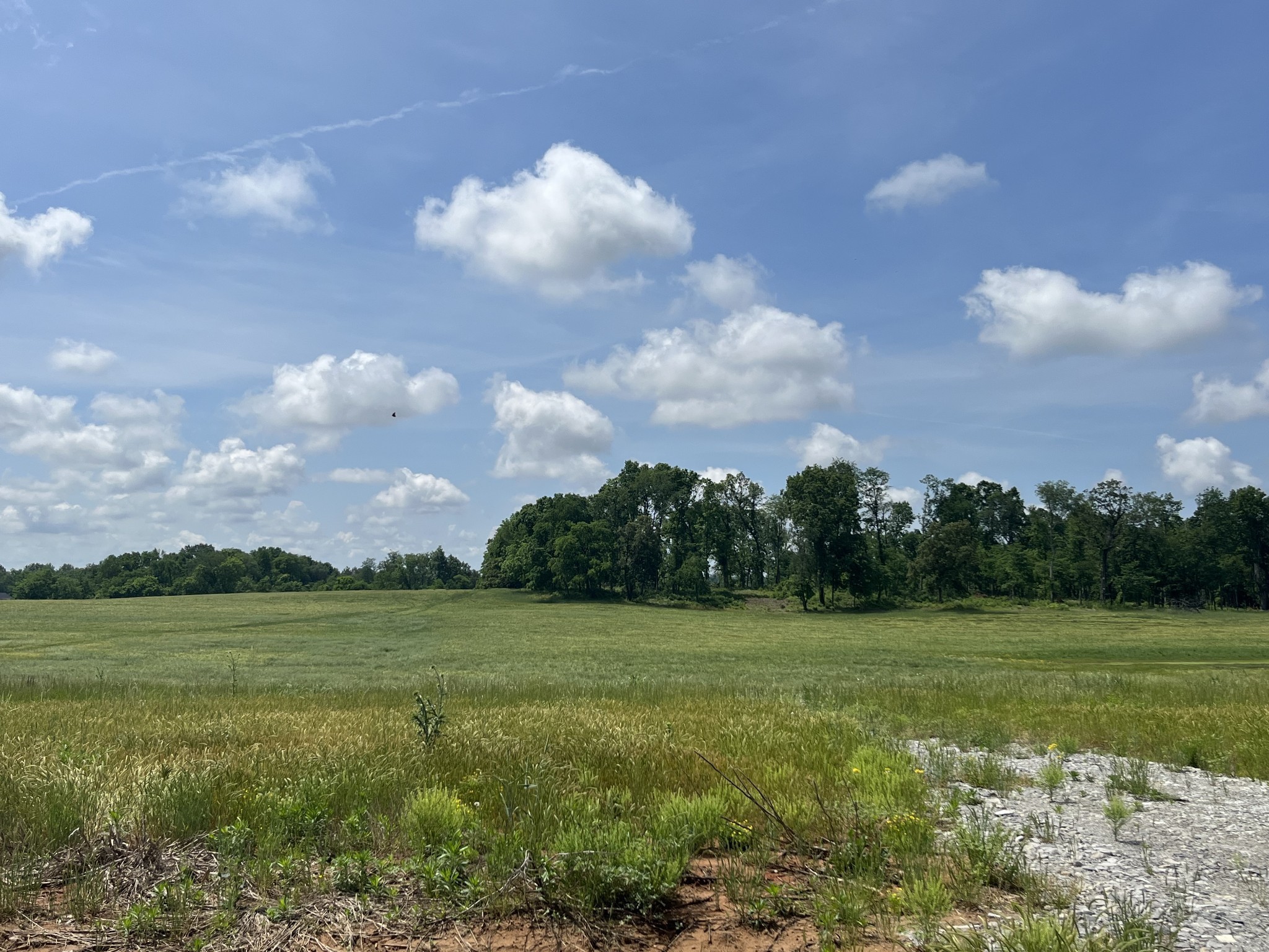 a view of a golf course with a lake