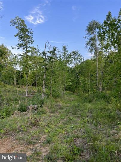 a view of a green field with lots of bushes