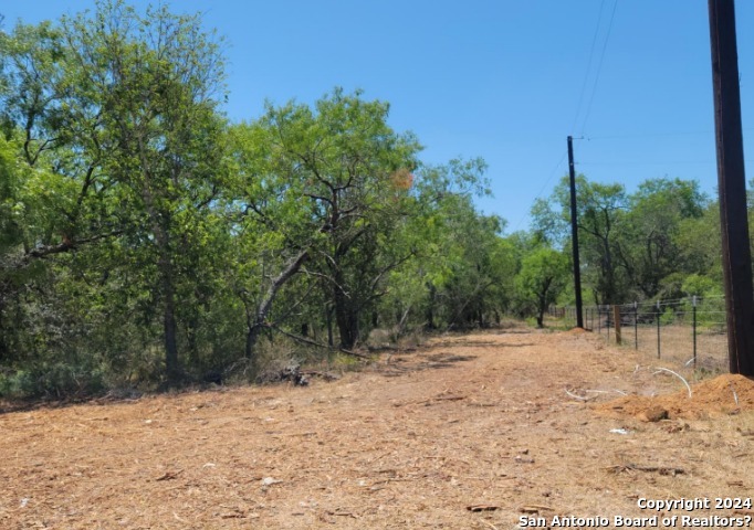 a view of a yard with a tree