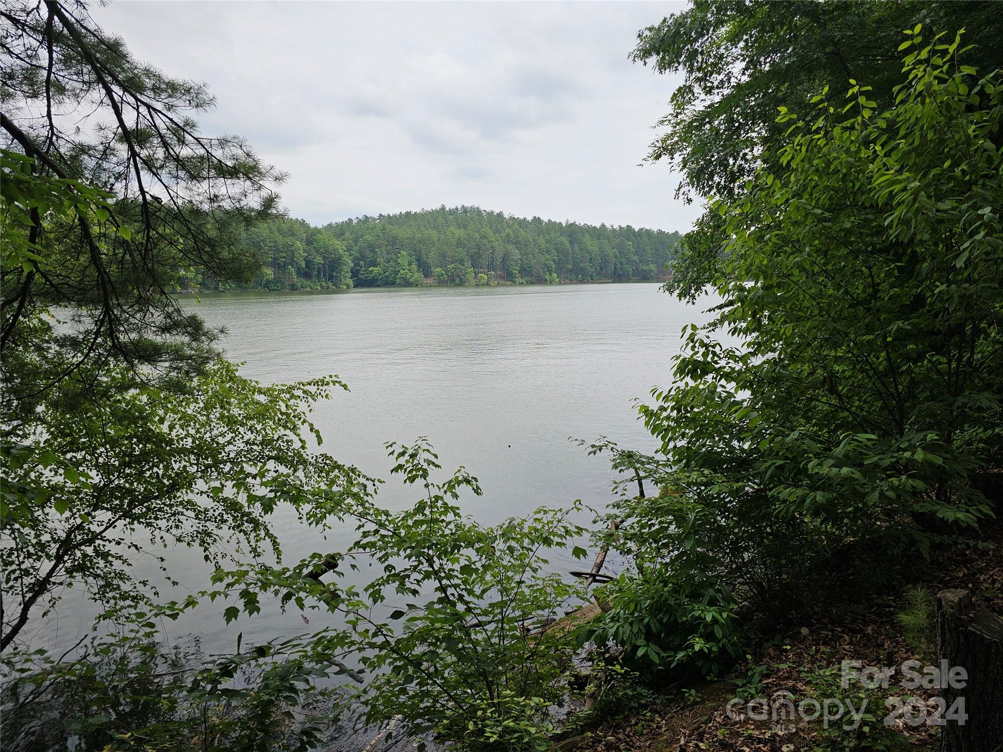 a view of a lake