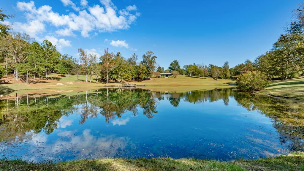 a view of a lake with a yard