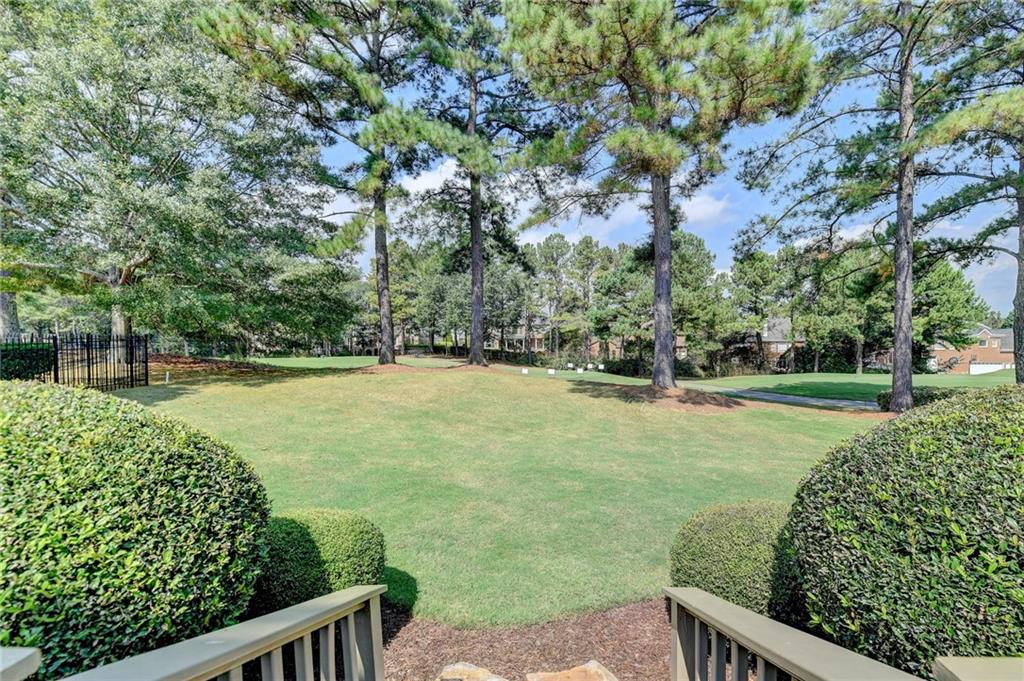 a view of a garden with a bench