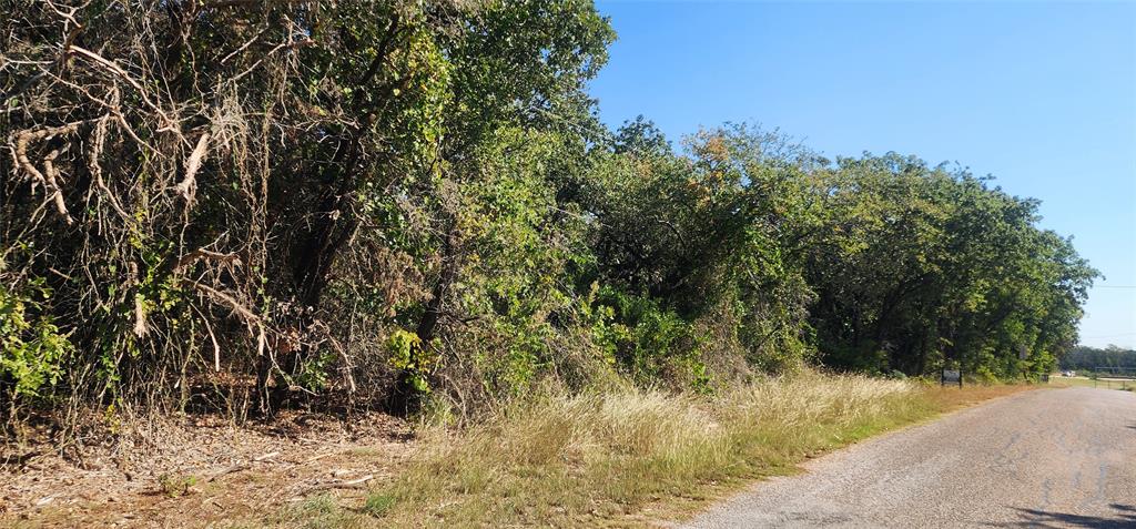 a view of a yard covered with trees