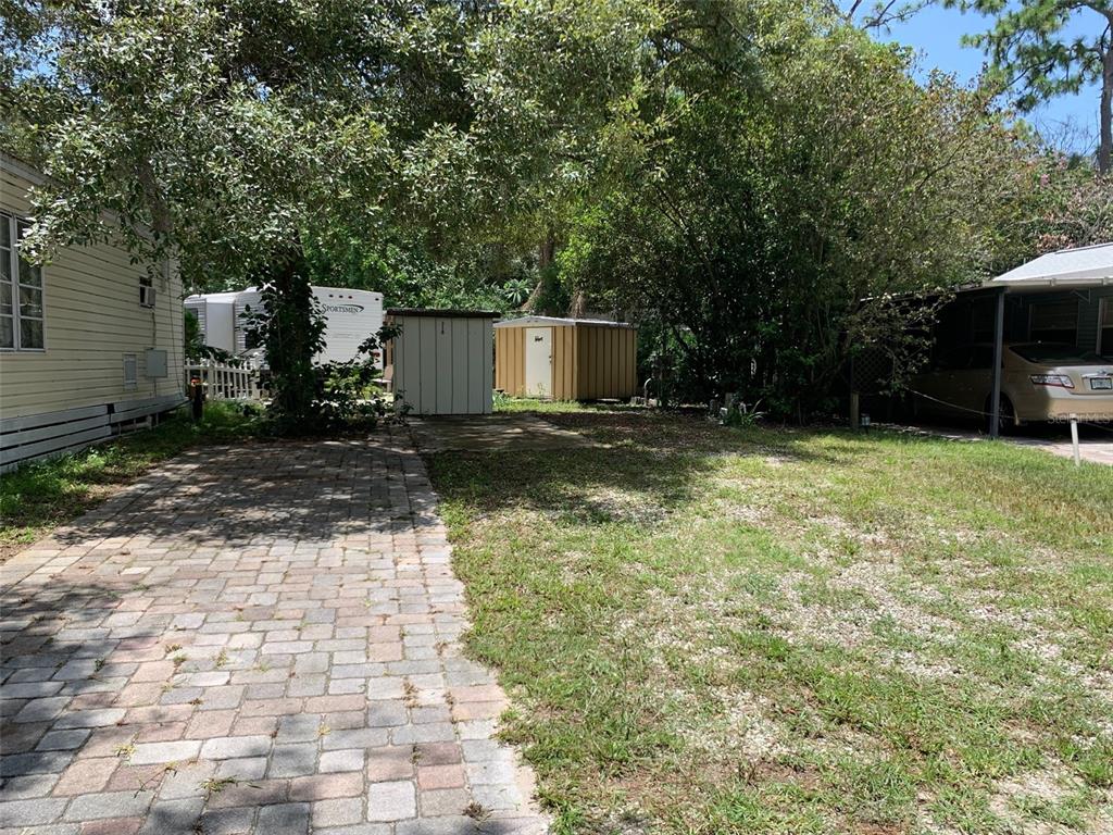 a view of a backyard with a tree