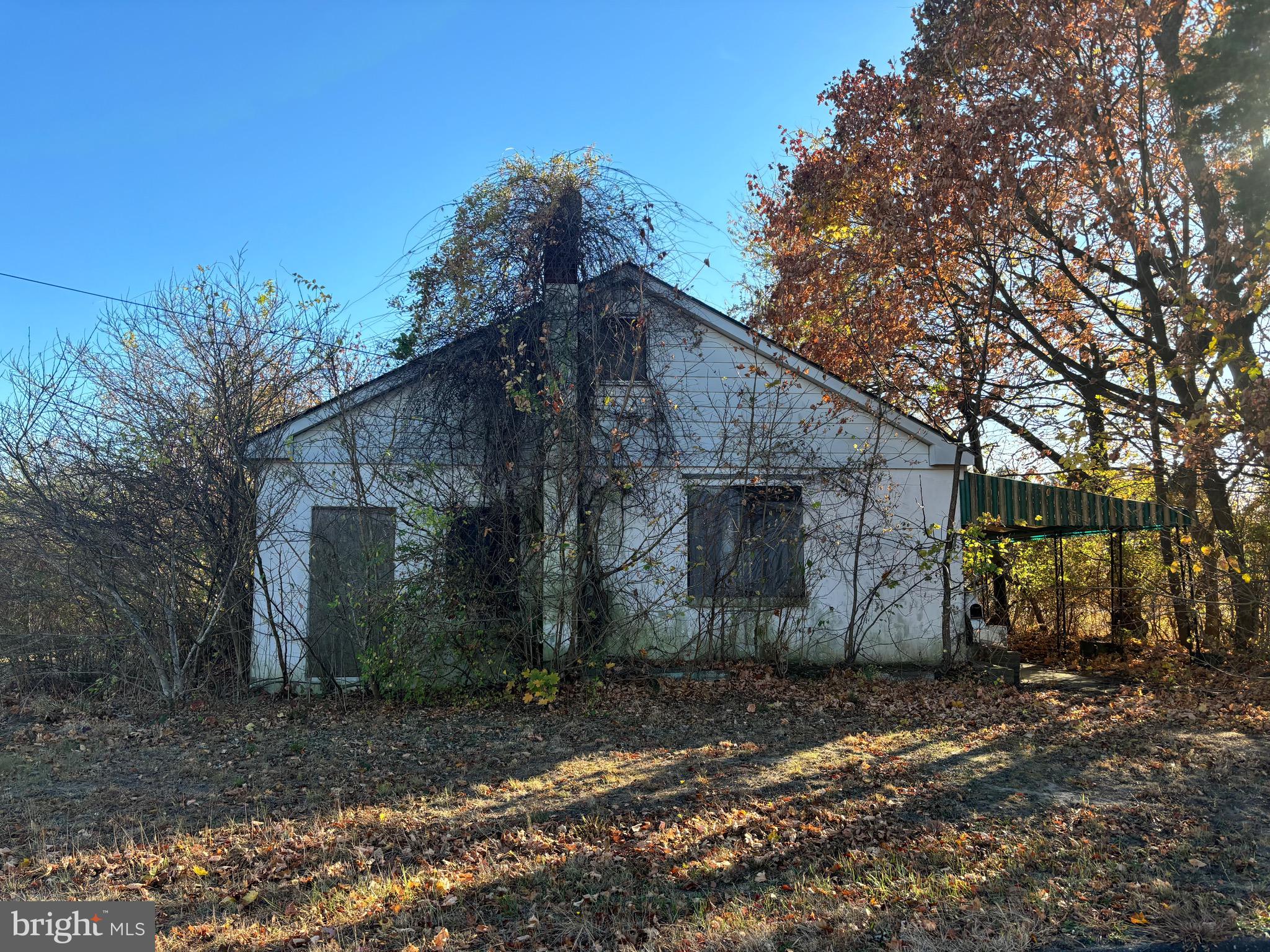 a backyard of a house with large trees and garage