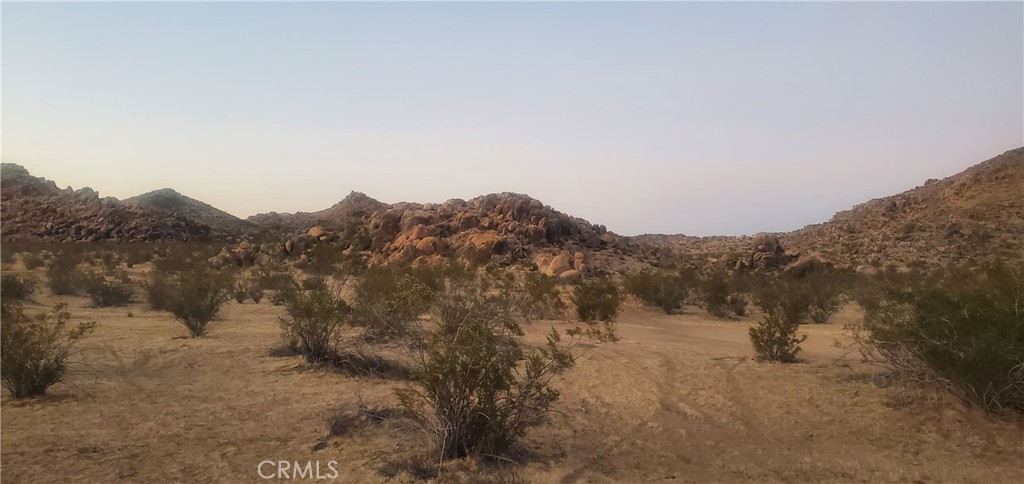 a view of a dry field