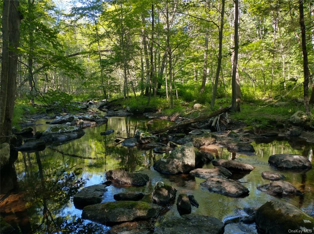 a picture of trees and covered with trees