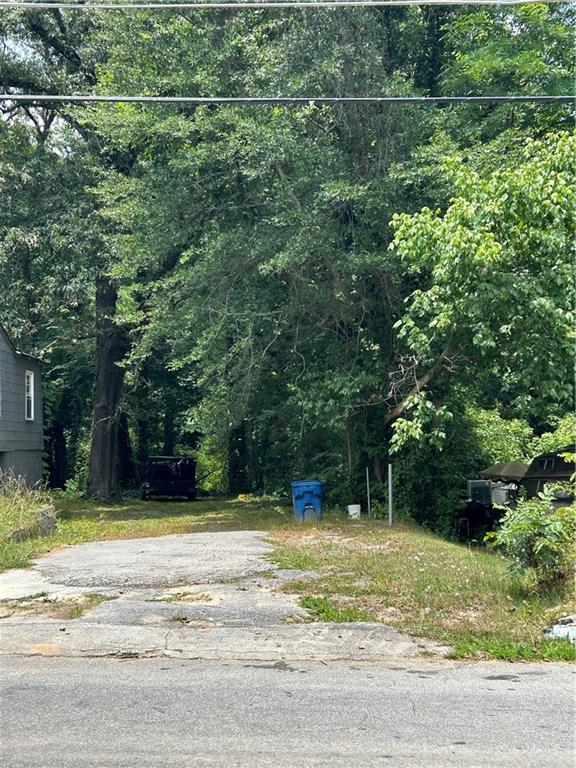 a view of a yard with plants and large trees