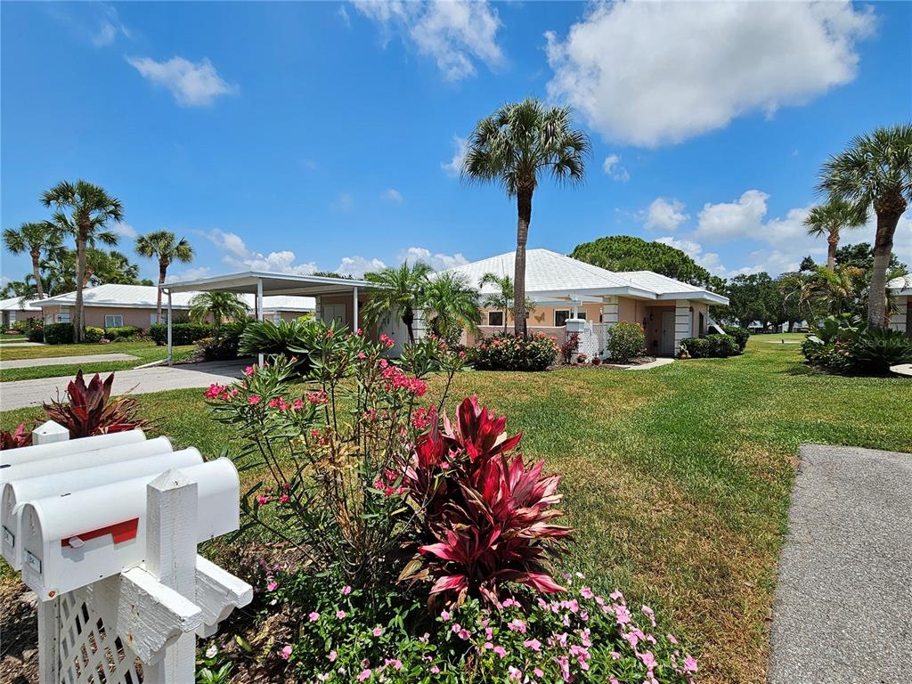 a view of a house with a yard and potted plants