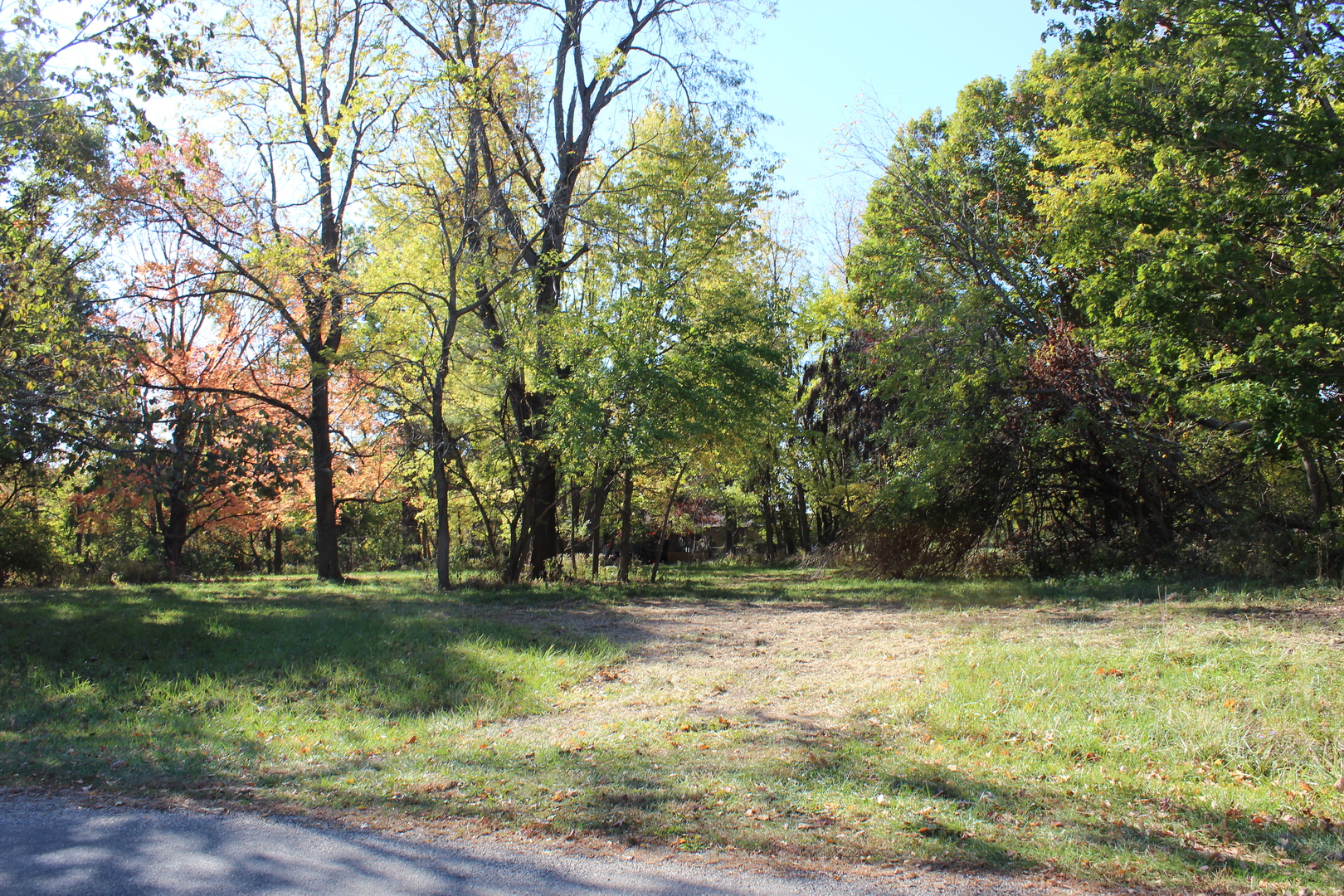 a view of outdoor space with green field and trees