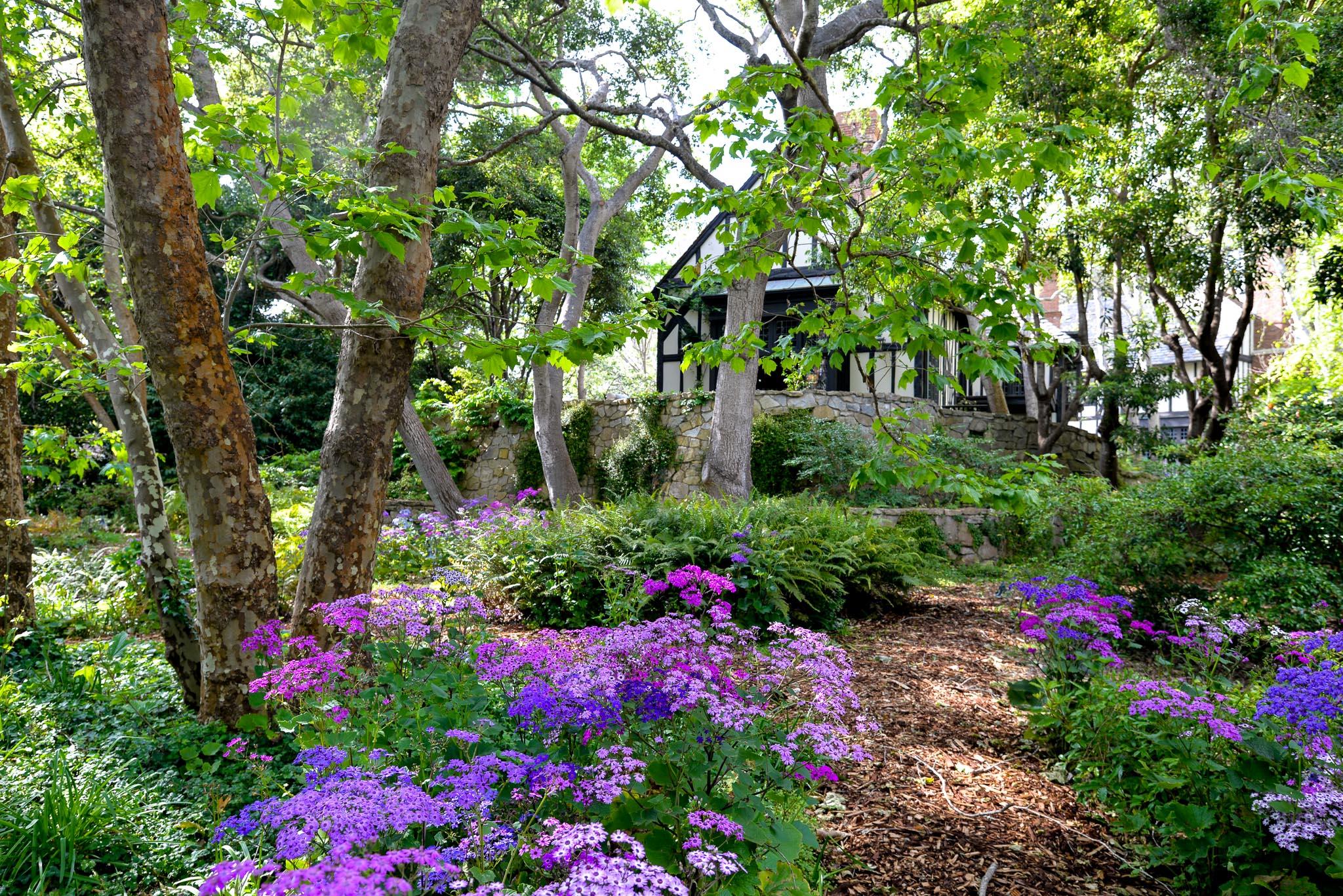 a view of a flower in a garden