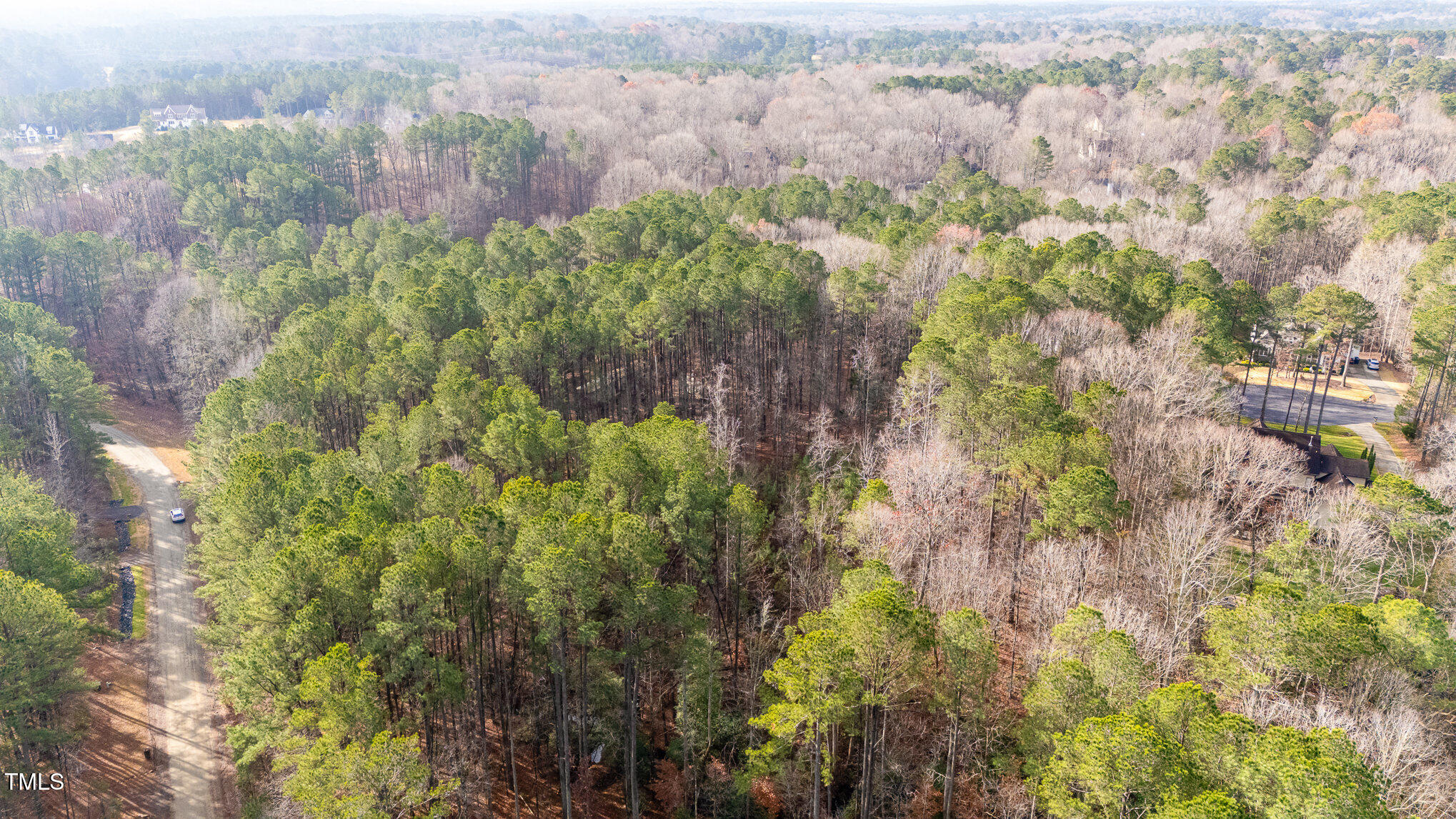 a view of a forest with a house