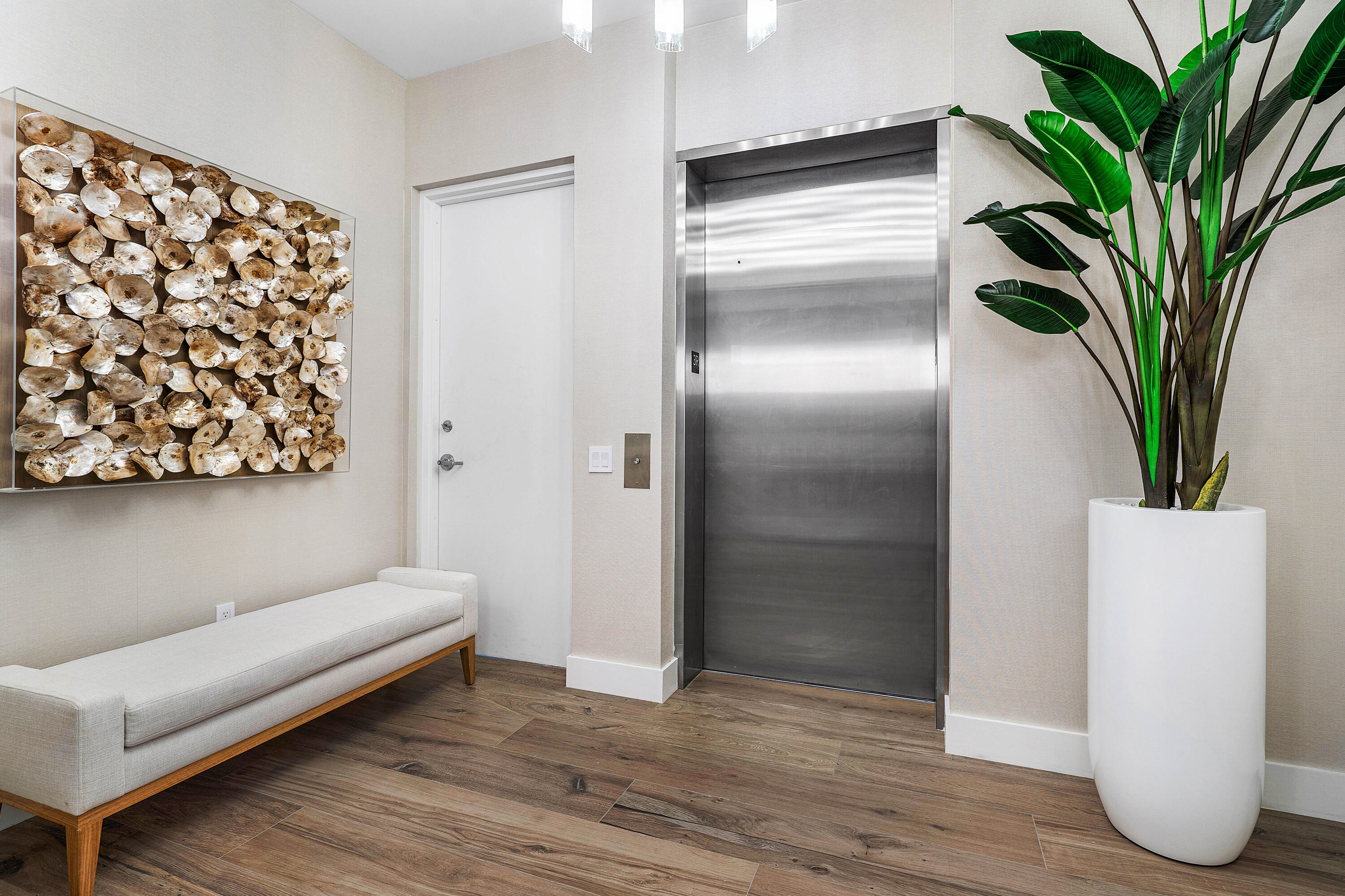 a room with a couch and a potted plant