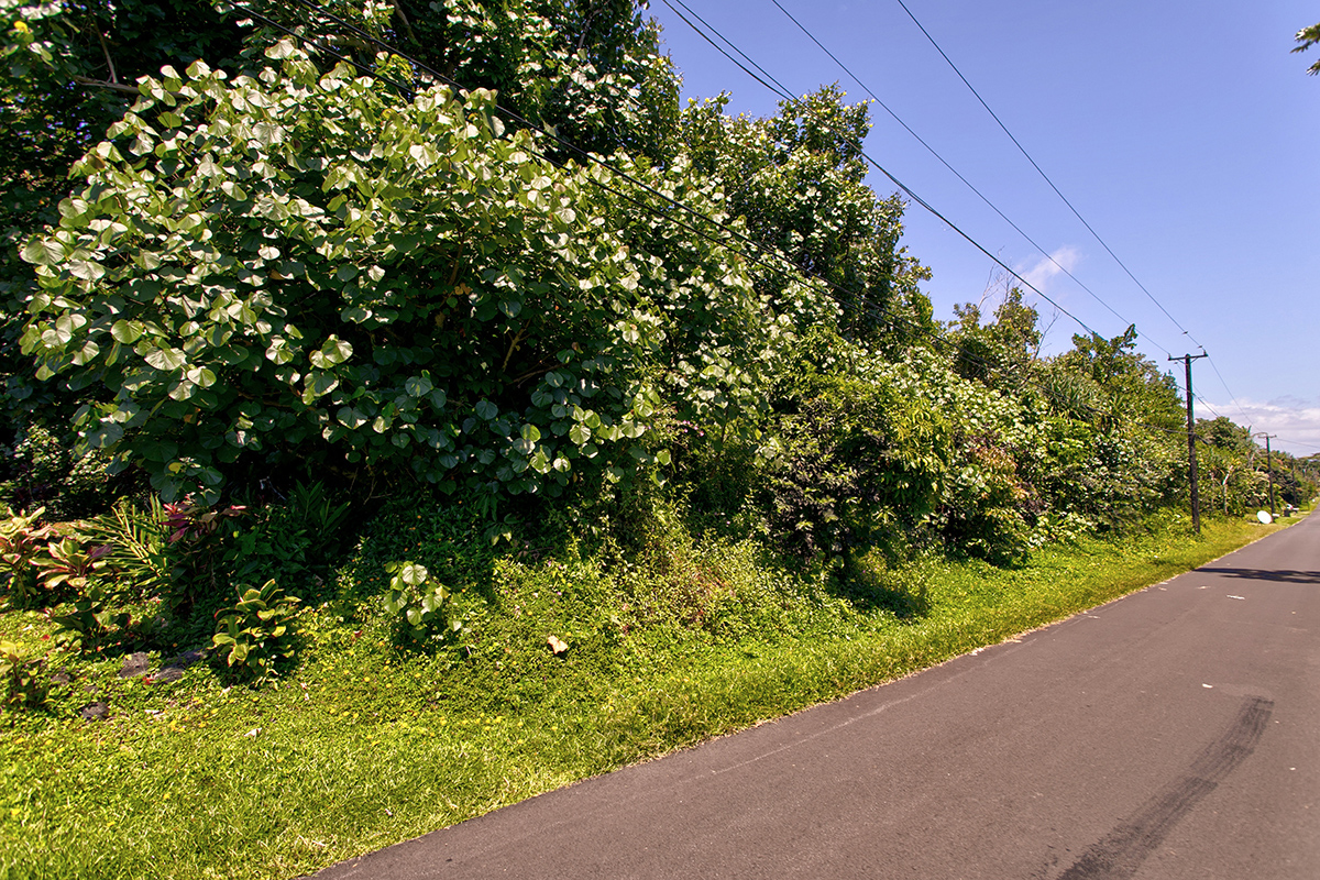 $25,000 lot located on N Opae Street nearby the ocean