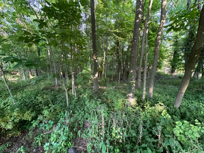 a view of outdoor space and green space