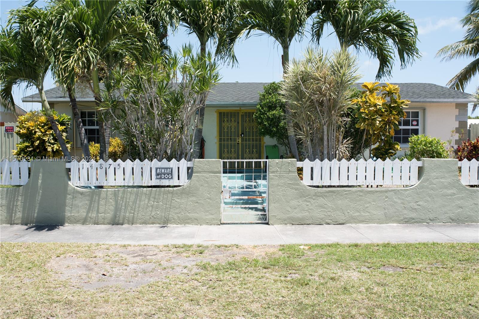 a view of a garden and a tree